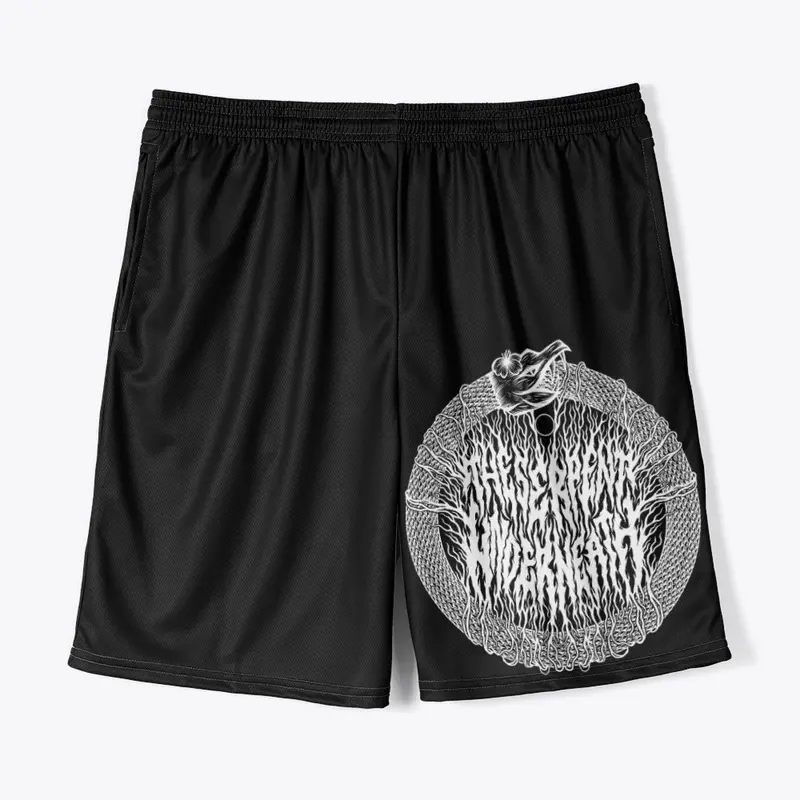 TSU Shorts